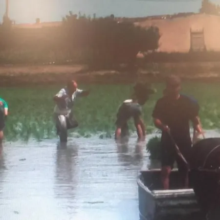 Callau Fogadó El Poble Nou del Delta